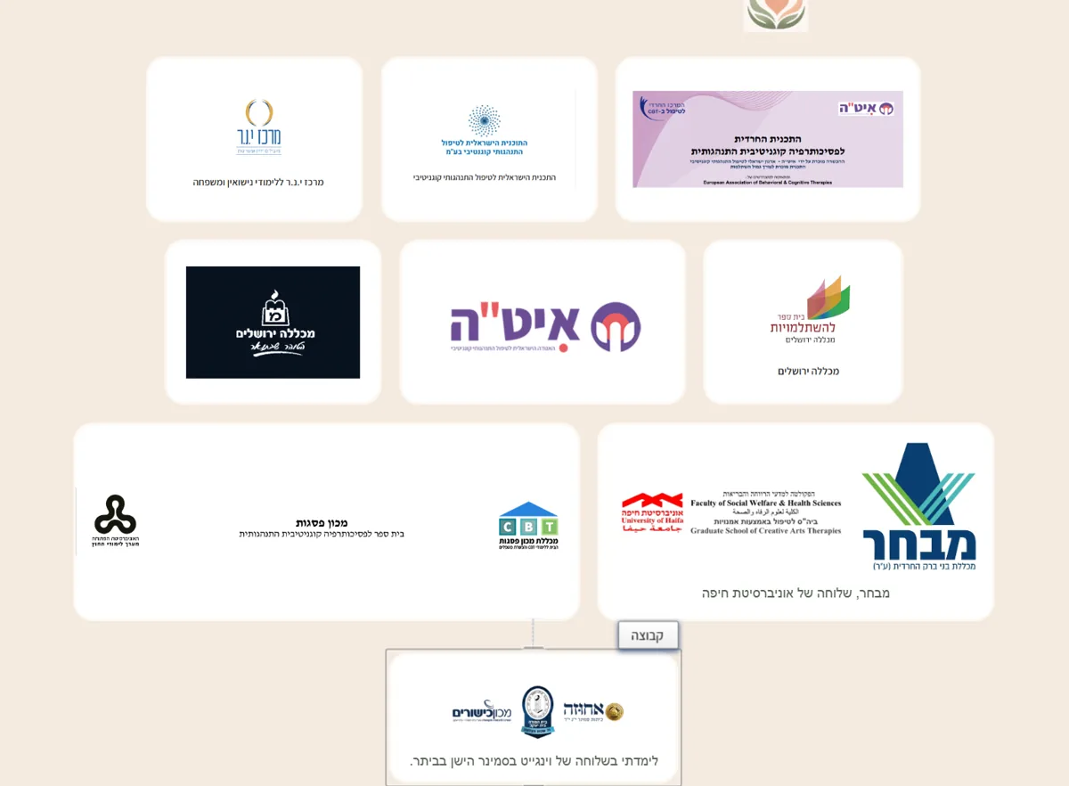 מוסדות שמהם הגיעו סטודנטיות שליוויתי